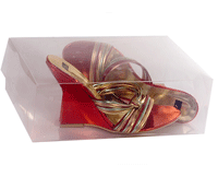 clear shoe box